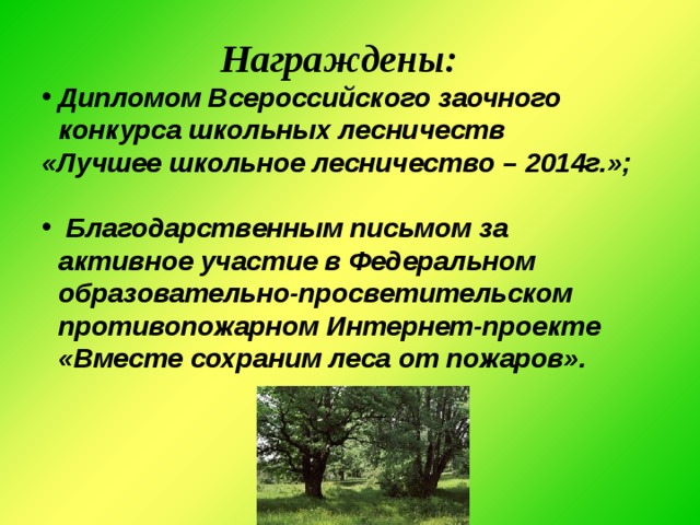 Проект противопожарных мероприятий в лесничестве