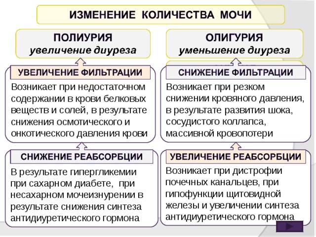 Изменение диуреза. Олигурия механизм развития. Причины и механизмы развития олигурии и анурии. Механизм развития полиурии. Повышенный диурез при каких заболеваниях.