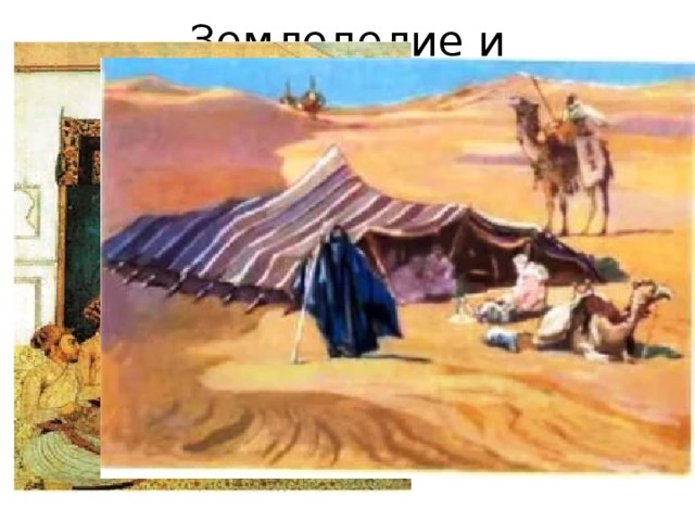 Земледелие и скотоводство Оседлые арабы (земледелие) Бедуины (кочевое скотоводство) 