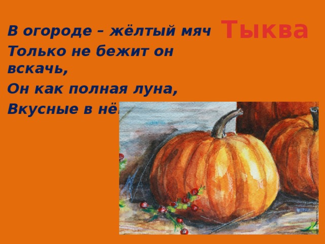 Тыква В огороде – жёлтый мяч Только не бежит он вскачь, Он как полная луна, Вкусные в нём семена. 