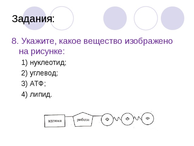 Задания: 8. Укажите, какое вещество изображено на рисунке: 1) нуклеотид; 2) углевод; 3) АТФ; 4) липид. 1) нуклеотид; 2) углевод; 3) АТФ; 4) липид. 