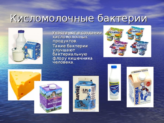 Презентация о кисломолочных продуктах