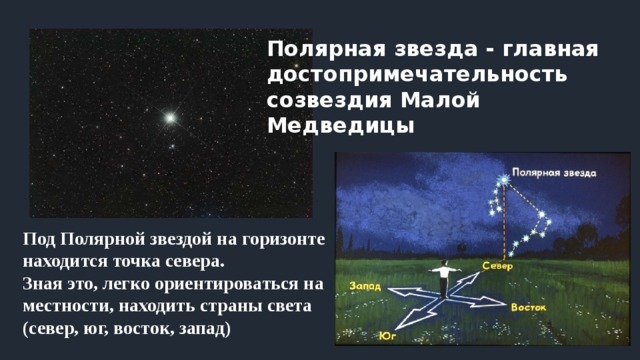 Полярная звезда - главная достопримечательность созвездия Малой Медведицы Под Полярной звездой на горизонте находится точка севера. Зная это, легко ориентироваться на местнос­ти, находить страны света (север, юг, восток, запад) 
