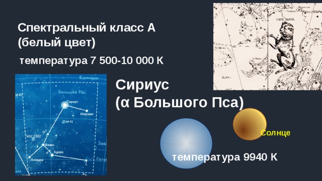 Спектральный класс А (белый цвет)   температура 7 500-10 000 К Сириус  (α Большого Пса) Солнце температура 9940 К 