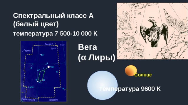 Спектральный класс А (белый цвет) температура 7 500-10 000 К Вега  (α Лиры) Солнце температура 9600 К 