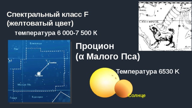 Спектральный класс F (желтоватый цвет) температура 6 000-7 500 К Процион  (α Малого Пса) Температура 6530 K Солнце 