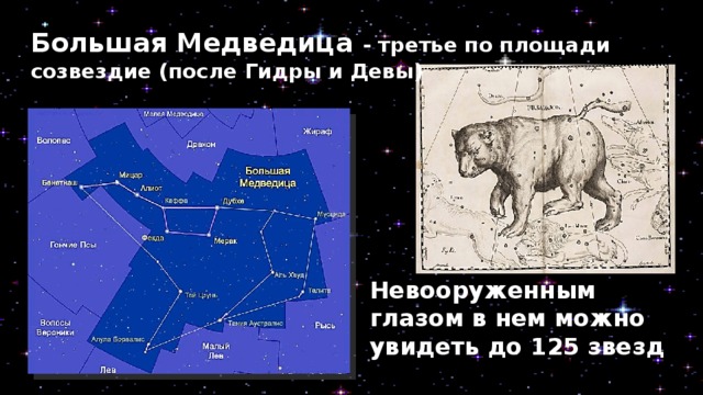  Большая Медведица  - третье по площади созвездие (после Гидры и Девы) Невооруженным глазом в нем можно увидеть до 125 звезд 