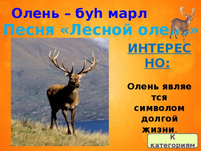 Песенку олень. Лесной олень песня. Песня про оленя. Лесной олень текст. Сообщение о Лесном олене.