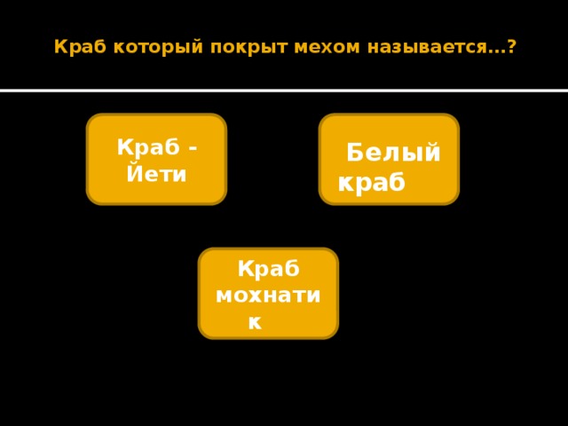  Краб который покрыт мехом называется…?   Краб - Йети   Белый краб  Краб мохнатик  