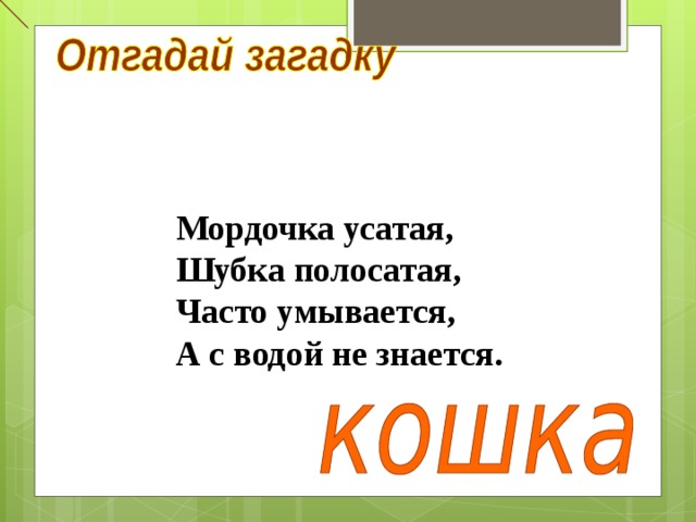 Мордочка усатая, Шубка полосатая, Часто умывается, А с водой не знается. 