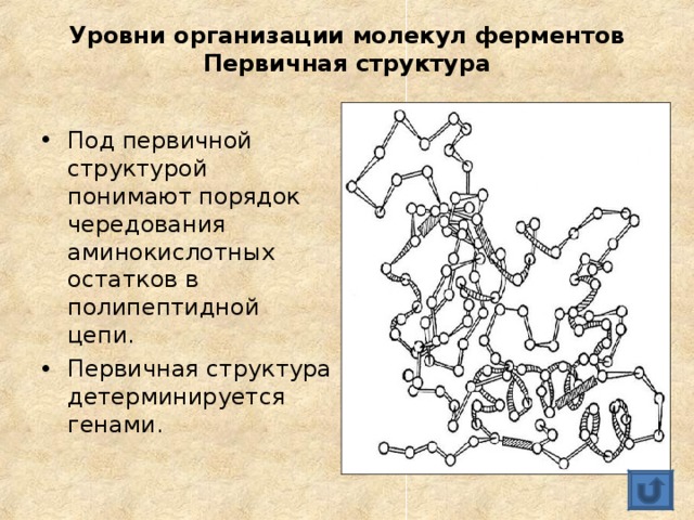 Молекула фермента