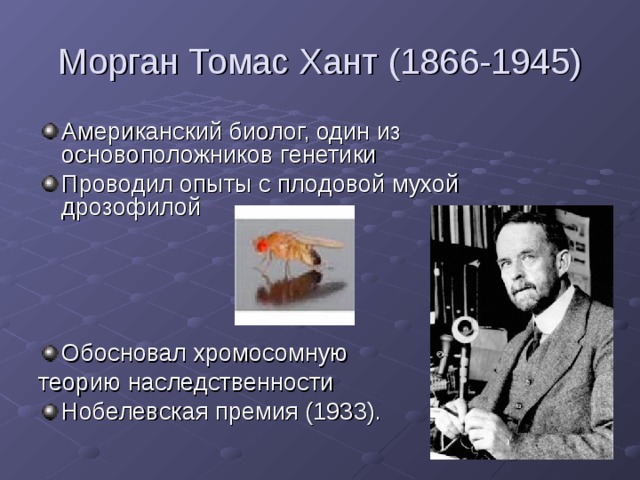 Морган Томас Хант (1866-1945) Американский биолог, один из основоположников генетики Проводил опыты с плодовой мухой дрозофилой    Обосновал хромосомную теорию наследственности
