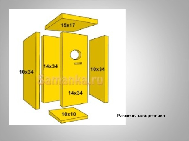 Чертеж скворечника с размерами 7 класс Презентация к проекту "Скворец обыкновенный"