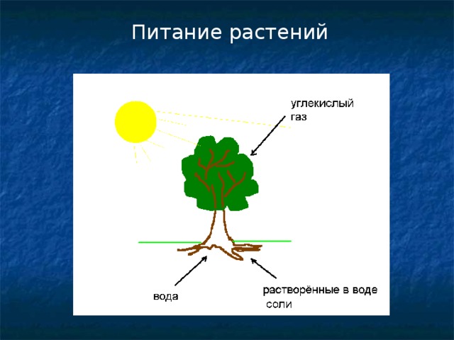 Схема питания растений