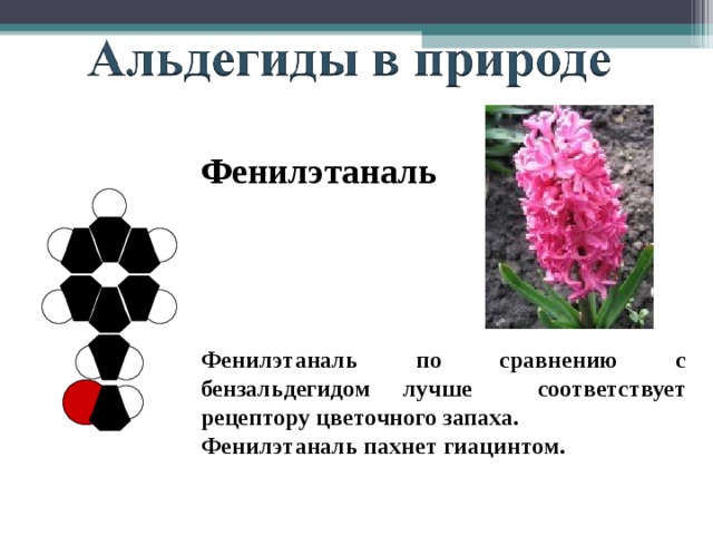 Фенилэтаналь Фенилэтаналь по сравнению с бензальдегидом лучше соответствует рецептору цветочного запаха. Фенилэтаналь пахнет гиацинтом. 
