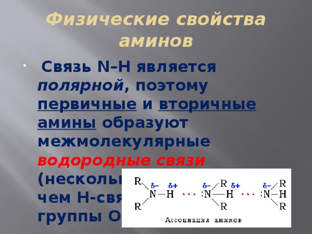 Презентация на тему амины