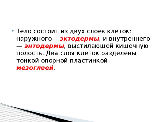 Тело состоит из двух слоев клеток: наружного—  эктодермы ,  и внутреннего—   энтодермы ,  выстилающей кишечную полость. Два слоя клеток разделены тонкой опорной пластинкой — мезоглеей . 