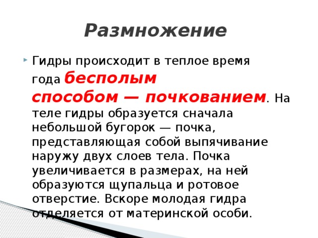 Размножение   Гидры происходит в теплое время года  бесполым способом — почкованием .  На теле гидры образуется сначала небольшой бугорок — почка, представляющая собой выпячивание наружу двух слоев тела. Почка увеличивается в размерах, на ней образуются щупальца и ротовое отверстие. Вскоре молодая гидра отделяется от материнской особи. 