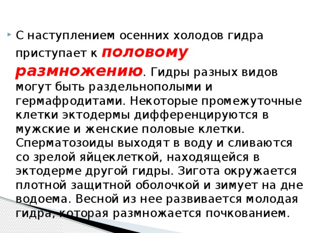 С наступлением осенних холодов гидра приступает к  половому размножению .  Гидры разных видов могут быть раздельнополыми и гермафродитами. Некоторые промежуточные клетки эктодермы дифференцируются в мужские и женские половые клетки. Сперматозоиды выходят в воду и сливаются со зрелой яйцеклеткой, находящейся в эктодерме другой гидры. Зигота окружается плотной защитной оболочкой и зимует на дне водоема. Весной из нее развивается молодая гидра, которая размножается почкованием. 