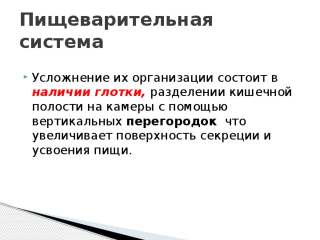 Пищеварительная система Усложнение их организации состоит в наличии глотки, разделении кишечной полости на камеры с помощью вертикальных перегородок что увеличивает поверхность секреции и усвоения пищи. 