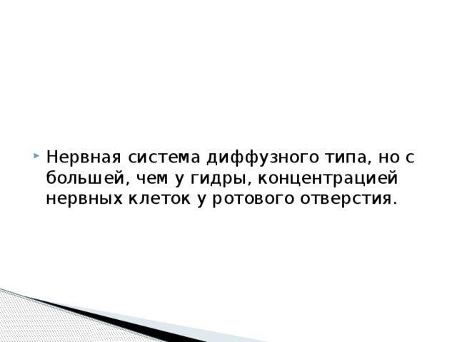 Нервная система диффузного типа, но с большей, чем у гидры, концентрацией нервных клеток у ротового отверстия.  