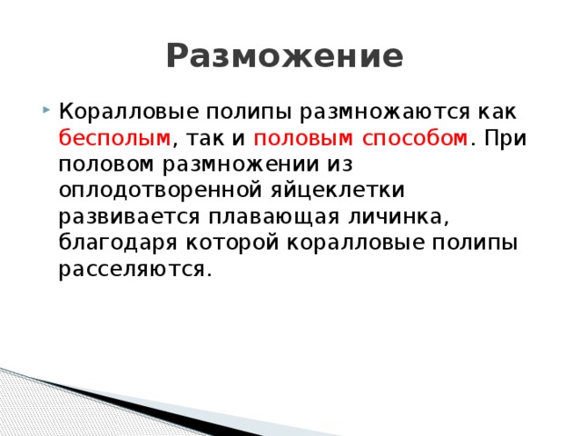 Разможение Коралловые полипы размножаются как бесполым , так и половым способом . При половом размножении из оплодотворенной яйцеклетки развивается плавающая личинка, благодаря которой коралловые полипы расселяются. 