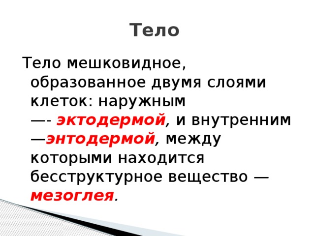 Тело Тело мешковидное, образованное двумя слоями клеток: наружным—-  эктодермой ,  и внутренним — энтодермой , между которыми находится бесструктурное вещество  — мезоглея . 