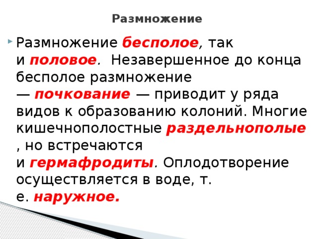 Размножение Размножение бесполое ,  так и  половое .   Незавершенное до конца бесполое размножение —  почкование  — приводит у ряда видов к образованию колоний. Многие кишечнополостные  раздельнополые  , но встречаются и  гермафродиты .  Оплодотворение осуществляется в воде, т. е.  наружное.     