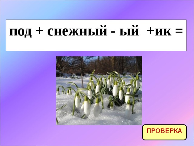 под + снежный - ый +ик = ПРОВЕРКА 