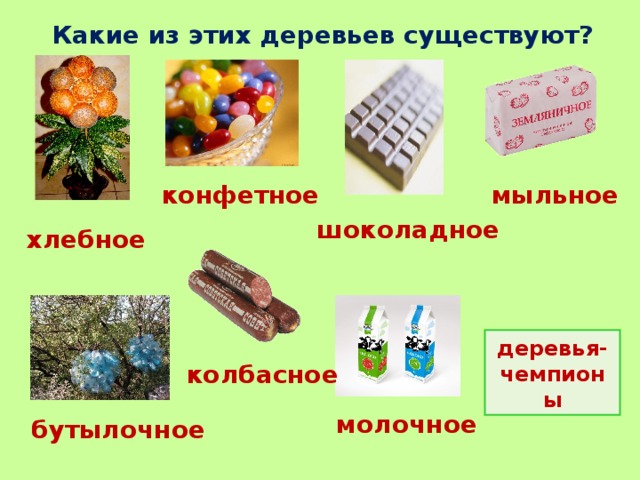 Какие из этих деревьев существуют? мыльное конфетное шоколадное хлебное деревья-чемпионы колбасное молочное бутылочное 