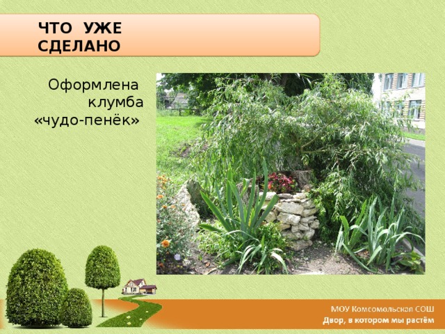 ЧТО УЖЕ СДЕЛАНО Оформлена клумба «чудо-пенёк»   