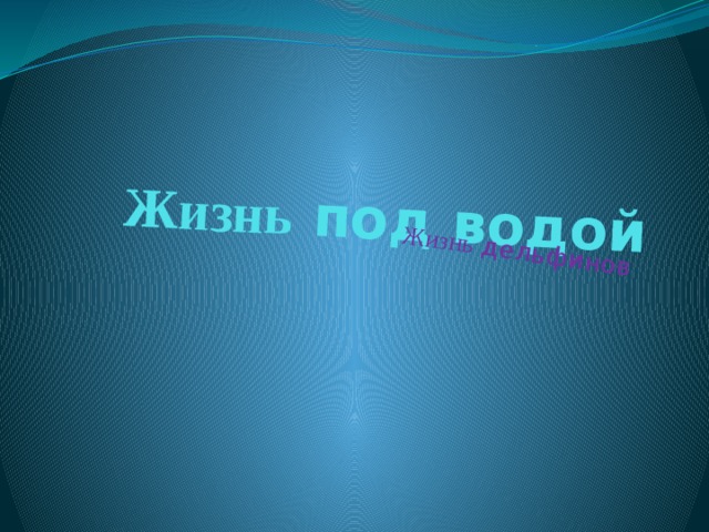 Жизнь под водой Жизнь дельфинов 