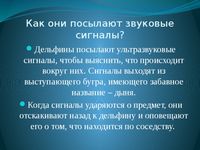 Как они посылают звуковые сигналы? Дельфины посылают ультразвуковые сигналы, чтобы выяснить, что происходит вокруг них. Сигналы выходят из выступающего бугра, имеющего забавное название – дыня. Когда сигналы ударяются о предмет, они отскакивают назад к дельфину и оповещают его о том, что находится по соседству. 