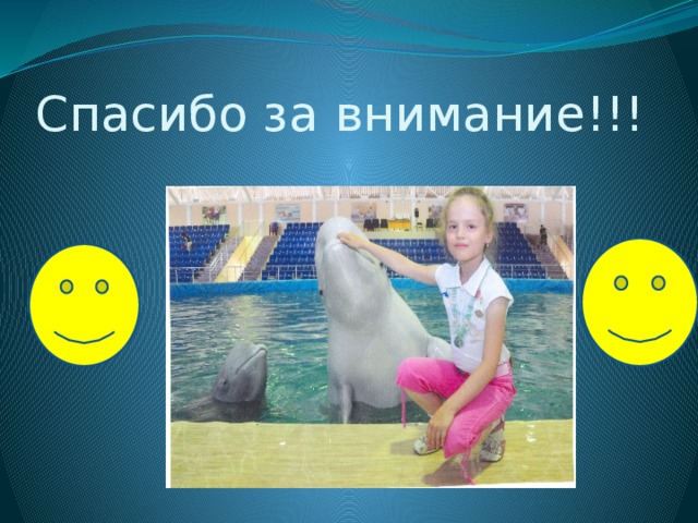 Спасибо за внимание!!! 