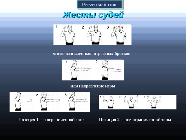 Жесты судьи в дзюдо в картинках с описанием