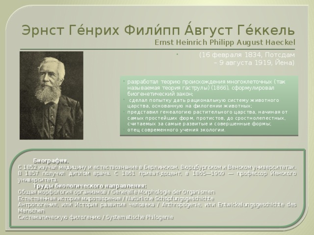 Эрнст Ге́нрих Фили́пп А́вгуст Ге́ккель  Ernst Heinrich Philipp August Haeckel (16 февраля 1834, Потсдам  – 9 августа 1919, Йена) разработал теорию происхождения многоклеточных (так называемая теория гаструлы) (1866), сформулировал биогенетический закон;  сделал попытку дать рациональную систему животного царства, основанную на филогении животных; представил генеалогию растительного царства, начиная от самых простейших форм, протистов, до сростнолепестных, считаемых за самые развитые и совершенные формы; отец современного учения экологии.  Биография. С 1852 изучал медицину и естествознание в Берлинском, Вюрцбургском и Венском университетах. В 1857 получил диплом врача. С 1861 приват-доцент, в 1865—1909 — профессор Йенского университета.  Труды биологического направления: Общая морфология организмов / Generelle Morphologie der Organismen Естественная история миротворения / Natürliche Schöpfungsgeschichte Антропогения, или История развития человека / Anthropogenie, или Entwickelungsgeschichte des Menschen Систематическую филогению / Systematische Philogenie 