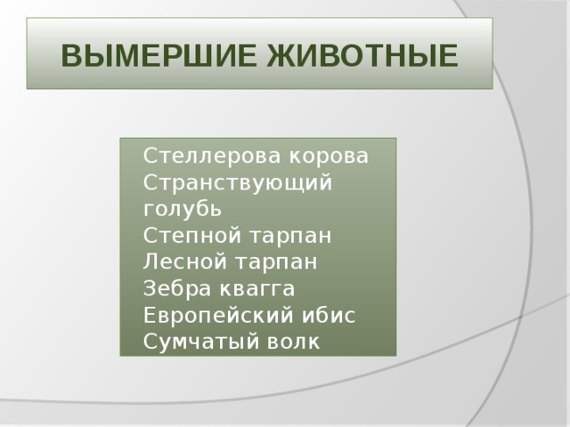 Вымершие животные Стеллерова корова Странствующий голубь Степной тарпан Лесной тарпан Зебра квагга Европейский ибис Сумчатый волк 