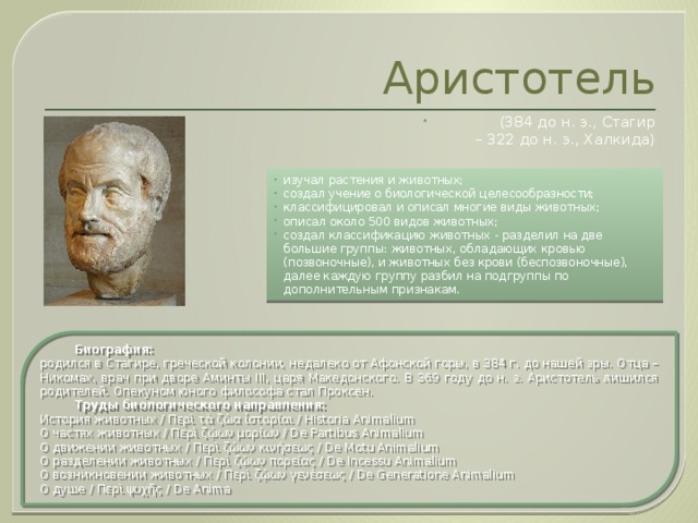 Аристотель (384 до н. э., Стагир  – 322 до н. э., Халкида) изучал растения и животных; создал учение о биологической целесообразности; классифицировал и описал многие виды животных; описал около 500 видов животных; создал классификацию животных - разделил на две большие группы: животных, обладающих кровью (позвоночные), и животных без крови (беспозвоночные), далее каждую группу разбил на подгруппы по дополнительным признакам.  Биография: родился в Стагире, греческой колонии, недалеко от Афонской горы, в 384 г. до нашей эры. Отца – Никомах, врач при дворе Аминты III, царя Македонского. В 369 году до н. э. Аристотель лишился родителей. Опекуном юного философа стал Проксен.  Труды биологического направления: История животных / Περὶ τὰ ζὼα ἱστορίαι / Historia Animalium О частях животных / Περὶ ζῴων μορίων / De Partibus Animalium О движении животных / Περὶ ζῴων κινήσεως / De Motu Animalium О разделении животных / Περὶ ζῴων πορείας / De Incessu Animalium О возникновении животных / Περὶ ζῴων γενέσεως / De Generatione Animalium О душе / Περὶ ψυχῆς / De Anima 