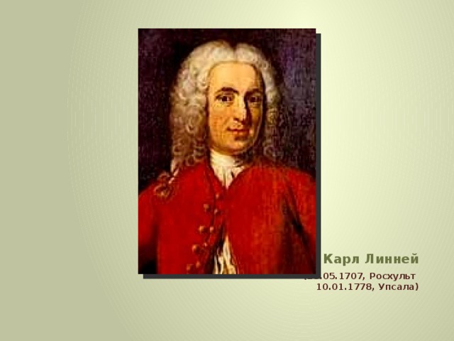 Карл Линней (23.05.1707, Росхульт 10.01.1778, Упсала) 