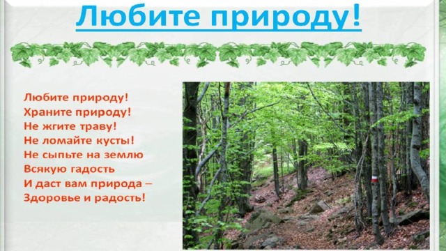 Защитники природы презентация