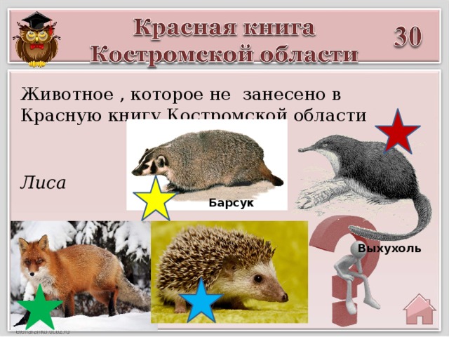 Животное , которое не занесено в Красную книгу Костромской области Лиса Барсук Выхухоль