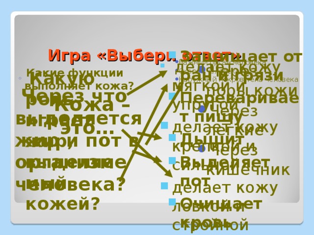 Игра «Выбери ответ» Защищает от ран и грязи Переваривает пищу Дышит Выделяет пот Очищает кровь  Важный орган человека Скелет человека Наружный покров тела человека  делает кожу мягкой и упругой делает кожу крепкой и сильной делает кожу ловкой и стройной Через поры кожи Через легкие Через кишечник  Какие функции выполняет кожа?  Какую роль играет жир, выделяемый кожей?  Через что выделяется жир и пот в организме человека?  Кожа – это…  