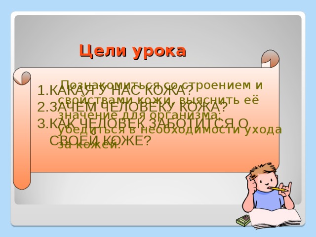  Цели урока  Познакомиться со строением и свойствами кожи, выяснить её значение для организма; убедиться в необходимости ухода за кожей. КАКАЯ У НАС КОЖА? ЗАЧЕМ ЧЕЛОВЕКУ КОЖА? КАК ЧЕЛОВЕК ЗАБОТИТСЯ О СВОЕЙ КОЖЕ? 