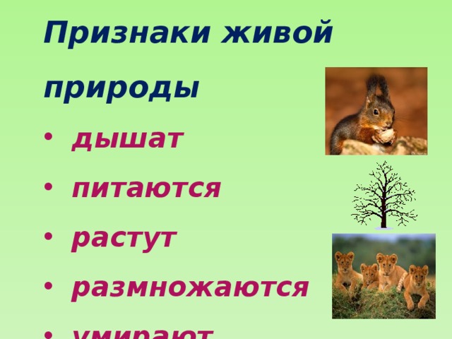 Признаки живой природы. Признаки признаки живой природы. Признаки живой природы 2 класс. Признак для всех живых объектов природы.