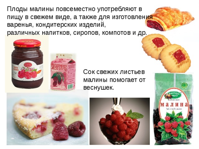 Плоды малины повсеместно употребляют в пищу в свежем виде, а также для изготовления варенья, кондитерских изделий, различных напитков, сиропов, компотов и др. Сок свежих листьев малины помогает от веснушек. 