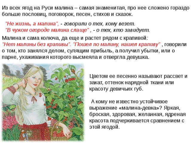 Из всех ягод на Руси малина – самая знаменитая, про нее сложено гораздо больше пословиц, поговорок, песен, стихов и сказок. 