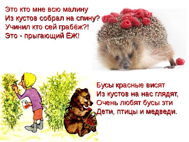 Это кто мне всю малину Из кустов собрал на спину? Учинил кто сей грабёж?! Это - прыгающий ЁЖ! Бусы красные висят Из кустов на нас глядят, Очень любят бусы эти Дети, птицы и медведи. 