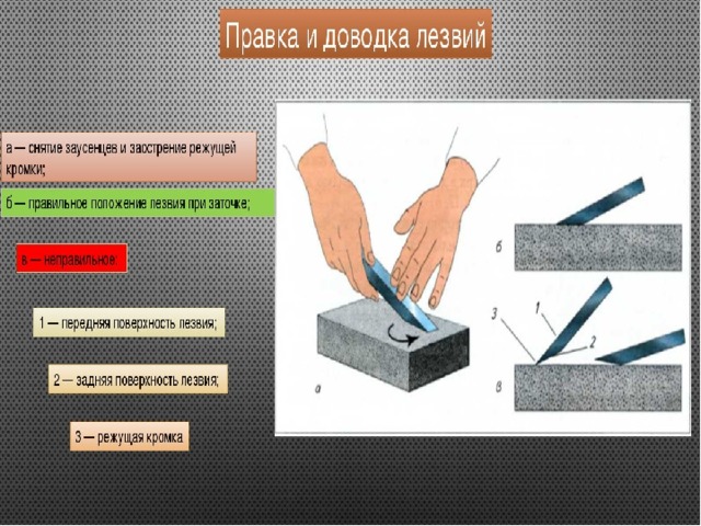 Режущие инструменты затачивают для того чтобы. Заточка дереворежущих инструментов. Заточка лезвия режущего инструмента. Заточка и доводка ножей. Инструменты для заточки и правки ножей строгальных инструментов?.