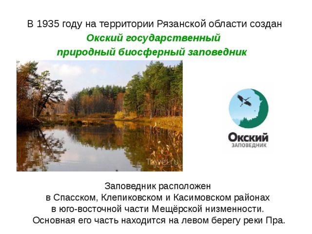 Окский заповедник где. Окский биосферный заповедник в Рязанской области. Окский государственный природный заповедник. Окский государственный природный биосферный заповедник животные. Окский заповедник на карте.