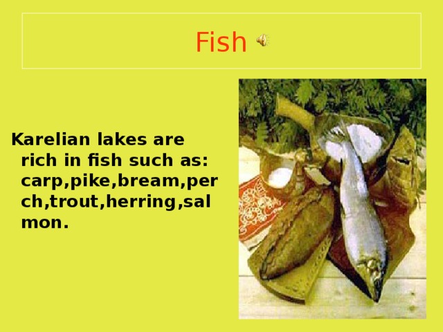 Fish    Karelian lakes are rich in fish such as: carp , pike , bream , perch , trout , herring , salmon. 